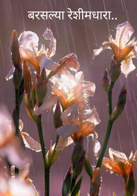 बरसल्या रेशीमधारा..