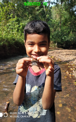 कोकणात या