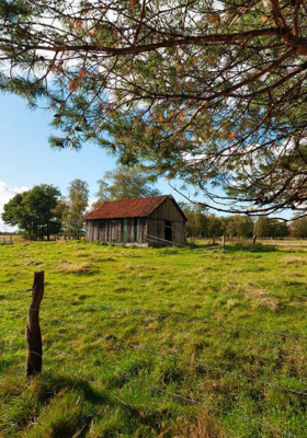 प्रायश्चित