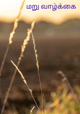 மறு வாழ்க்கை