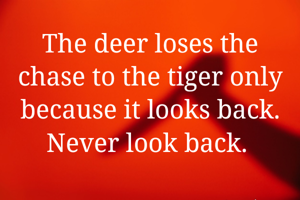 The deer loses the chase to the tiger only because it looks back. Never look back. 