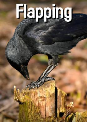 Flapping