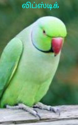 லிப்ஸ்டிக்
