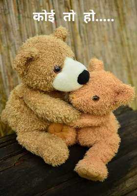 कोई तो हो.....