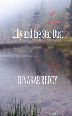 Lilly and the Star Dust