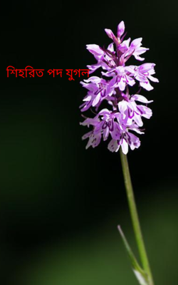 শিহরিত পদ যুগল