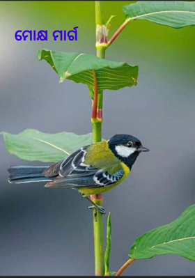 ମୋକ୍ଷ ମାର୍ଗ