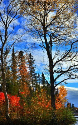 रिश्तों की कीमत 