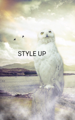 STYLE UP 