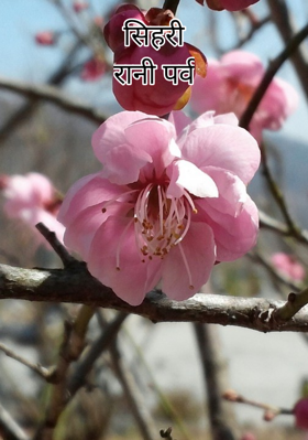 सिहरीरानी पर्व