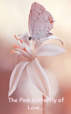 The Pink butterfly of Love...