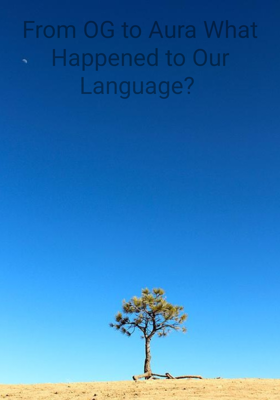 From OG to Aura What Happened to Our Language? 