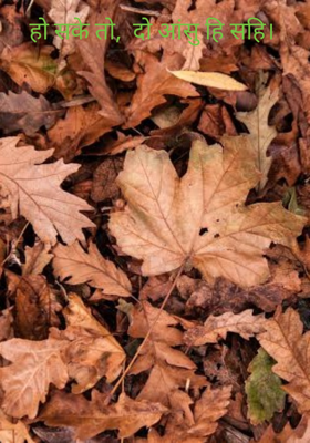 हो सके तो,  दो आंसू ही सही