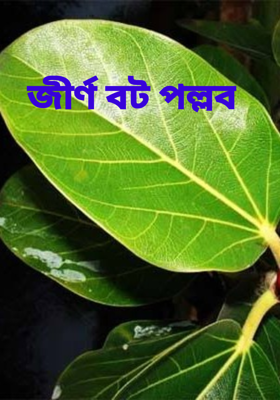 জীর্ণ বট পল্লব