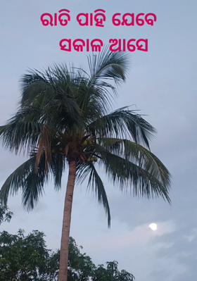 ରାତି ପାହି ଯେବେ  ସକାଳ ଆସେ