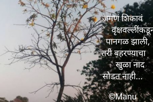 जगणं शिकावं
          वृक्षवल्लींकडून
     पानगळ झाली,
 तरी बहरण्याचा
        खुळा नाद 
सोडत नाही...

©Manu