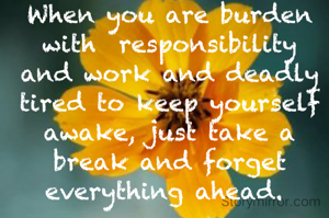 When you are burden with  responsibility and work and deadly tired to keep yourself  awake, just take a break and forget everything ahead. 
