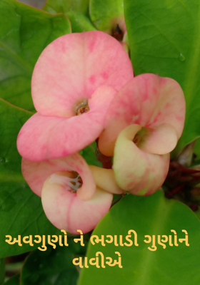 અવગુણોને ભગાડી ગુણોને વાવીએ