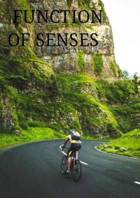Function Of Senses
