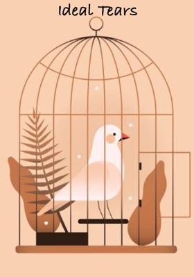 Ideal Tears
