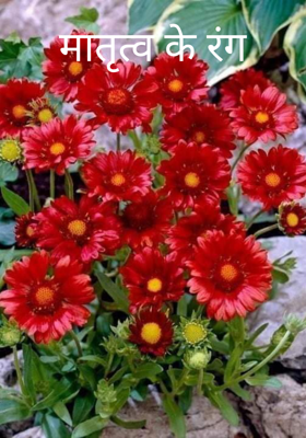 मातृत्व के रंग