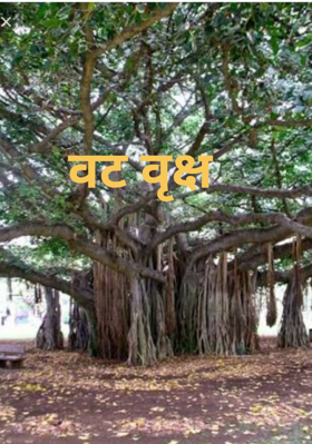 वट वृक्ष