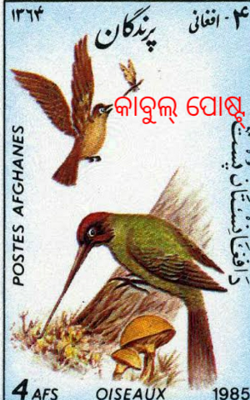କାବୁଲ୍ ପୋଷ୍ଟ୍
