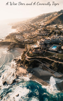 A Wise Deer and A Cowardly Tiger