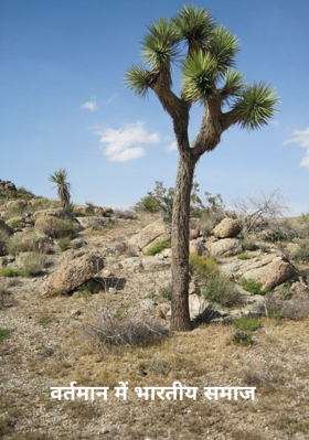 वर्तमान में भारतीय समाज