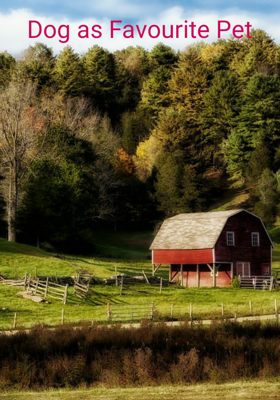 Dog As Favourite Pet