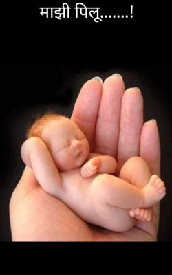 माझी पिलू