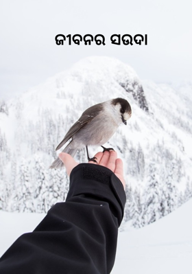 ଜୀବନର ସଉଦା