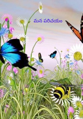 మన పరిచయం