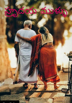 హ్రృదయ ముళ్ళు 