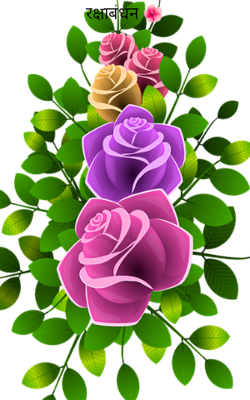 रक्षाबंधन 🌺