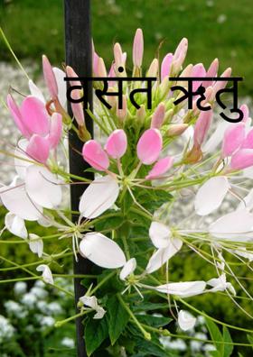 वसंत ऋतु