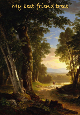 My best friend trees