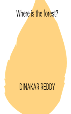 Where is the forest?