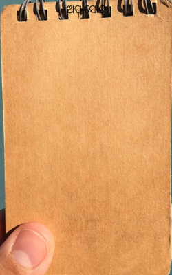 ଅପାଶୋରା