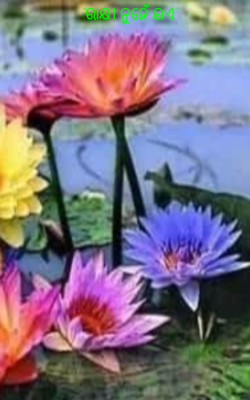 ରାକ୍ଷୀ ନୁହେଁ ଇଏ