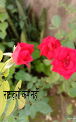 नाराज़गी कम नहीं