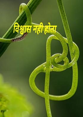 विश्वास नही होता