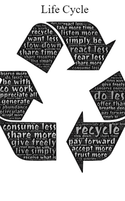 Life Cycle