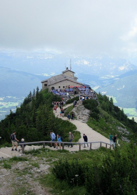 जंगल की जगह सीमेंट का जंगल