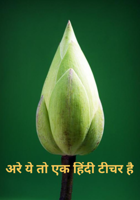 अरे ये तो एक हिंदी टीचर है