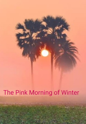 The Pink Morning of Winter