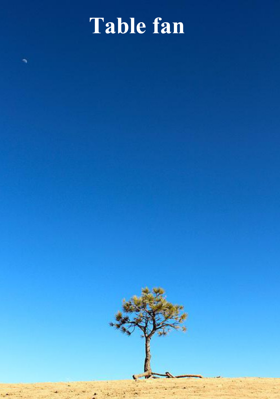 Table Fan