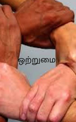 ஒற்றுமை