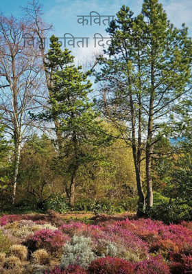 कविताविश्व कविता दिवस पर मेरी