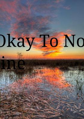 It's Okay To Not To Be Fine